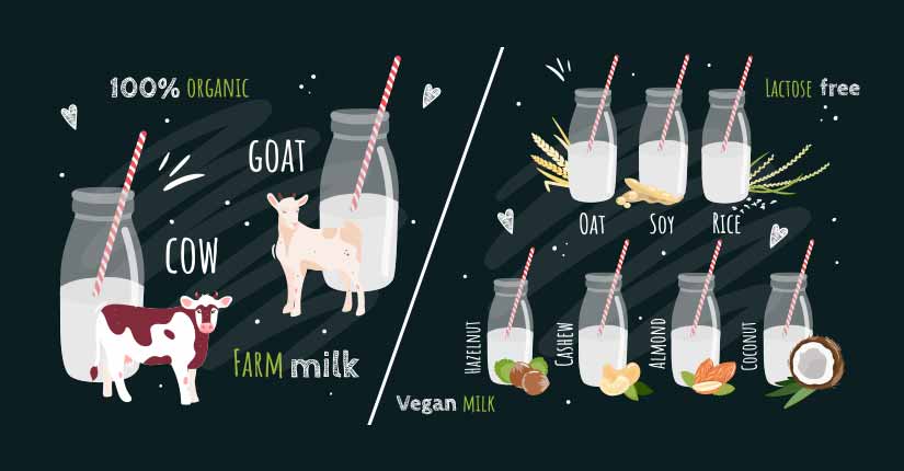 Nut milk vs dairy milk
