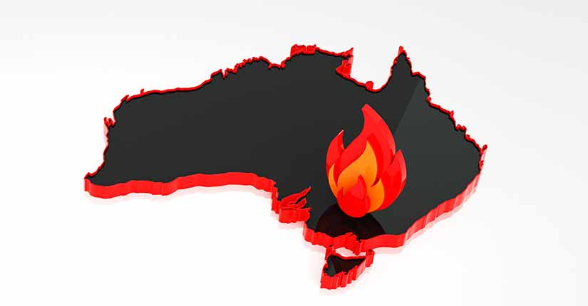 The Cost and Impact of Australian Bushfires