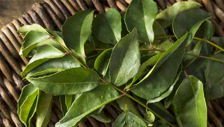 Can Curry Leaves Help Bring Blood Sugar Levels Down? Let’s Find Out