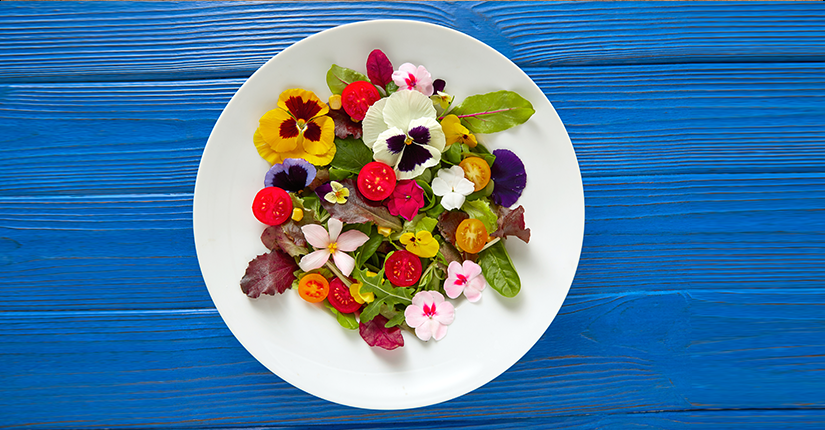 Try Out these 6 Edible Flowers in your Diet