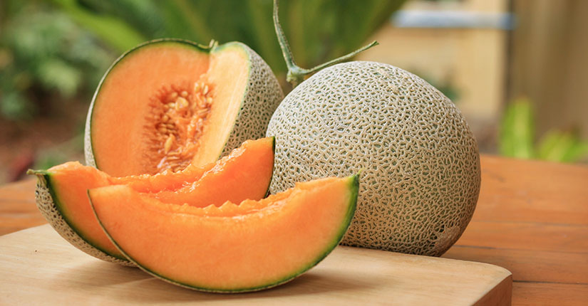 Here’s Why You Should definitely Incorporate Muskmelon in your Diet During Summer