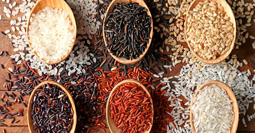 The Versatile Rice – Know the Top 8 Varieties & Health Benefits