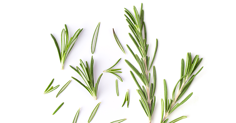 Five Possible Health Benefits of Rosemary Herb