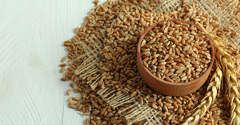 Food Trend Alert- Spelt or Dinkel Wheat & Its Health Benefits