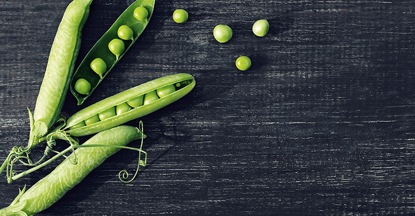 Food Trend: All You Need to Know About Pea Protein