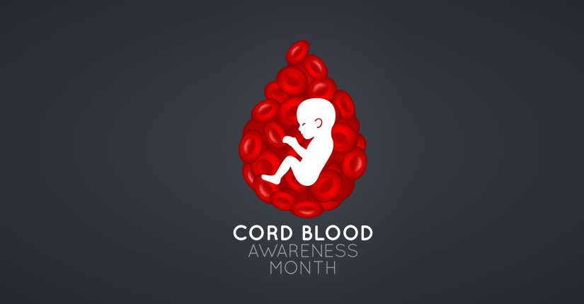 What is Cord Blood- Everything You Need to Know