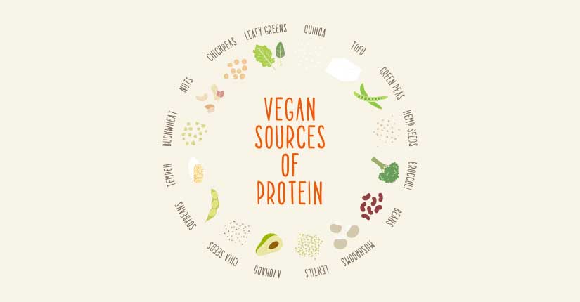 How to Get Enough Protein If You are On a Vegan Diet