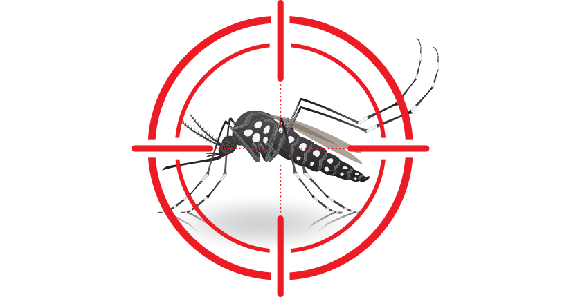Monsoon Infections- Know the Difference Between Dengue and Malaria