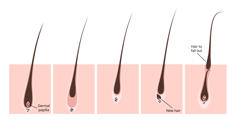 Here’s How Biotin Helps in Promoting Hair Growth