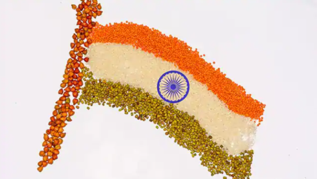 Happy Independence Day 2020: Nutritionist Gives 4 Tips To Get Freedom From Unhealthy Lifestyle