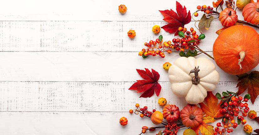 Autumn Seasonal Food Must-Haves in Your Diet