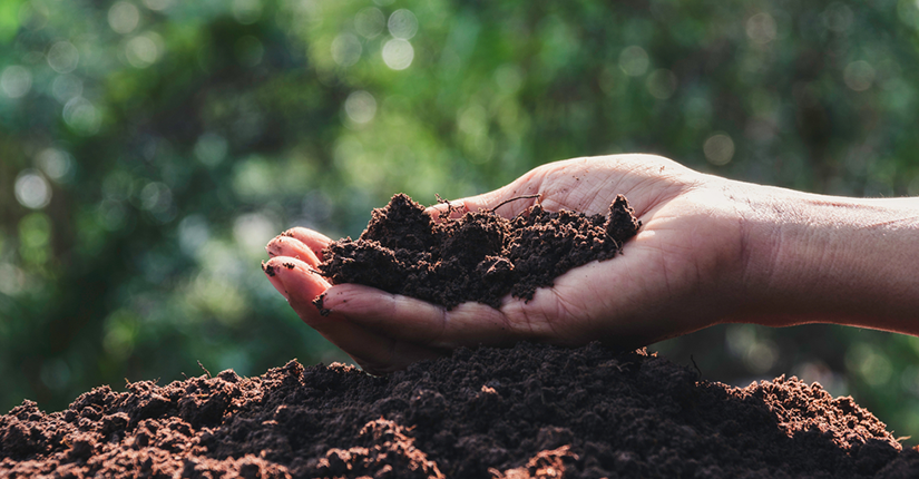 World Soil Day 2020 -Keep Soil Alive, Protect Soil Biodiversity