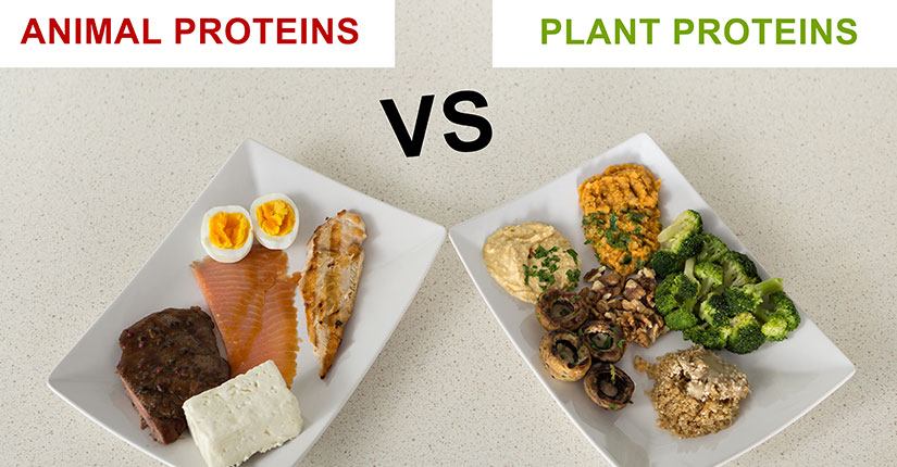 5 Benefits of Plant Protein vs Animal Protein