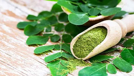 Know about Moringa and its Benefits