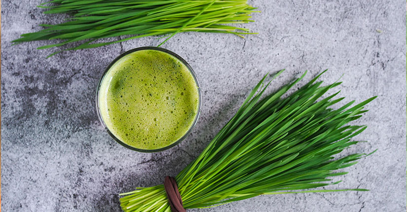 Wheatgrass for Health: Know Its Impressive Nutritional Profile and Benefits