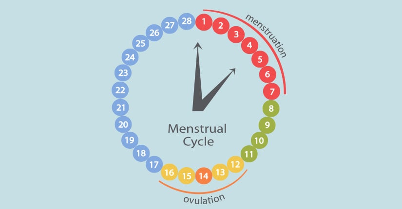 5 Home-Remedies to Regularize your Menstrual Cycle