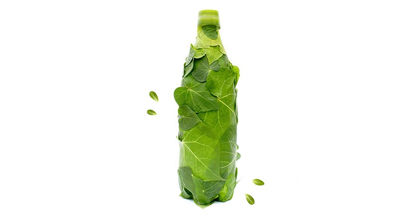 Biodegradable Water Bottle: Latest Trend to Watch out