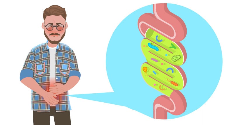 Know How your Lifestyle Affect the Gut Friendly Bacteria