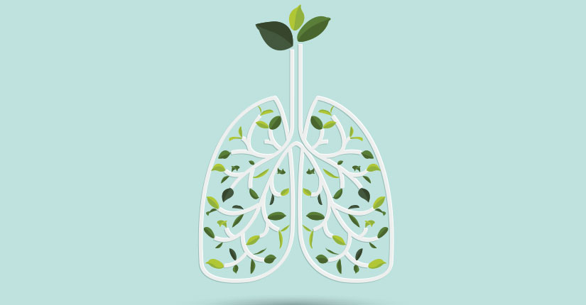 The Importance of Lung Health