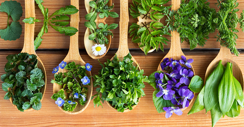 5 Edible Flowers That You Must Add to Your Diet