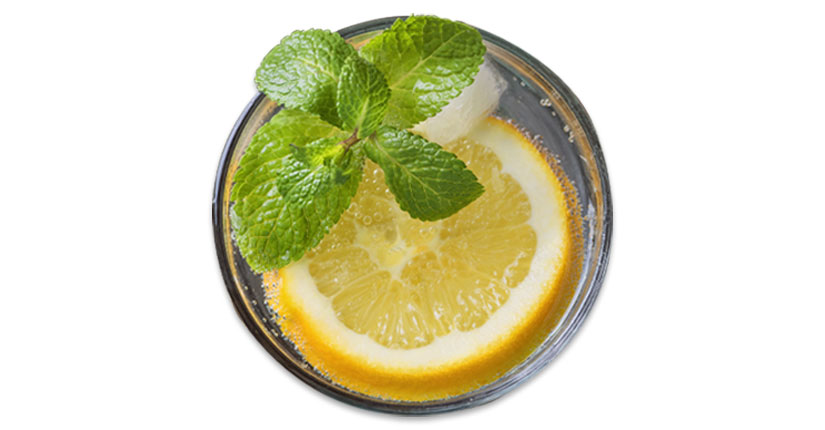 Mint Lime Concoction