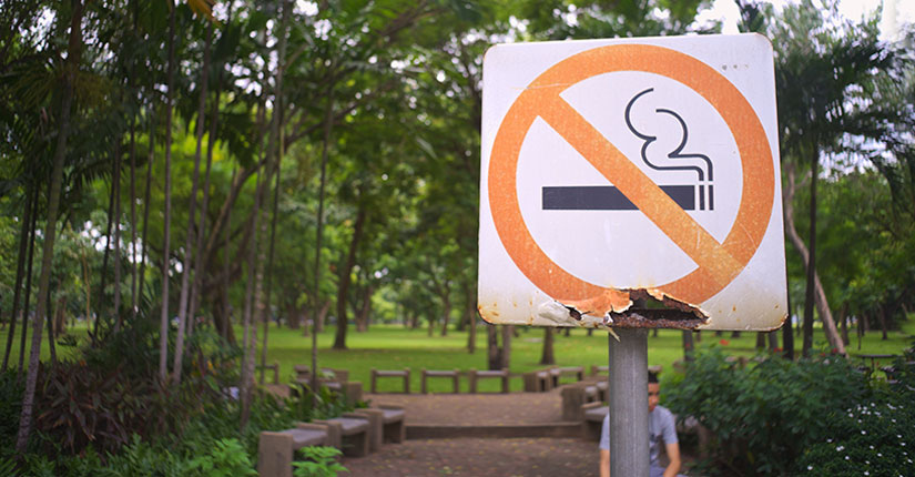 WHO Tweeted That Tobacco Kills 600 Million Trees Every Year