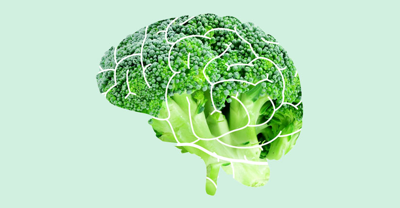 6 effects of dietary and lifestyle factors of brain tumour