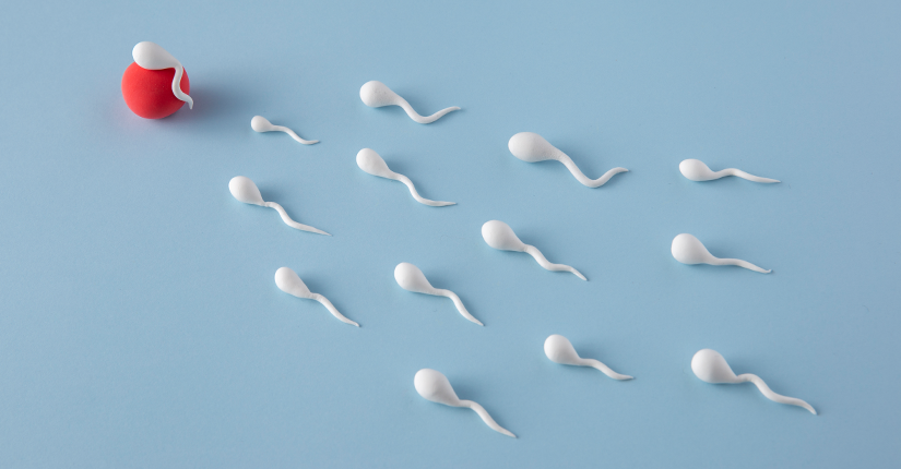 9 Ways to increase sperm Motility