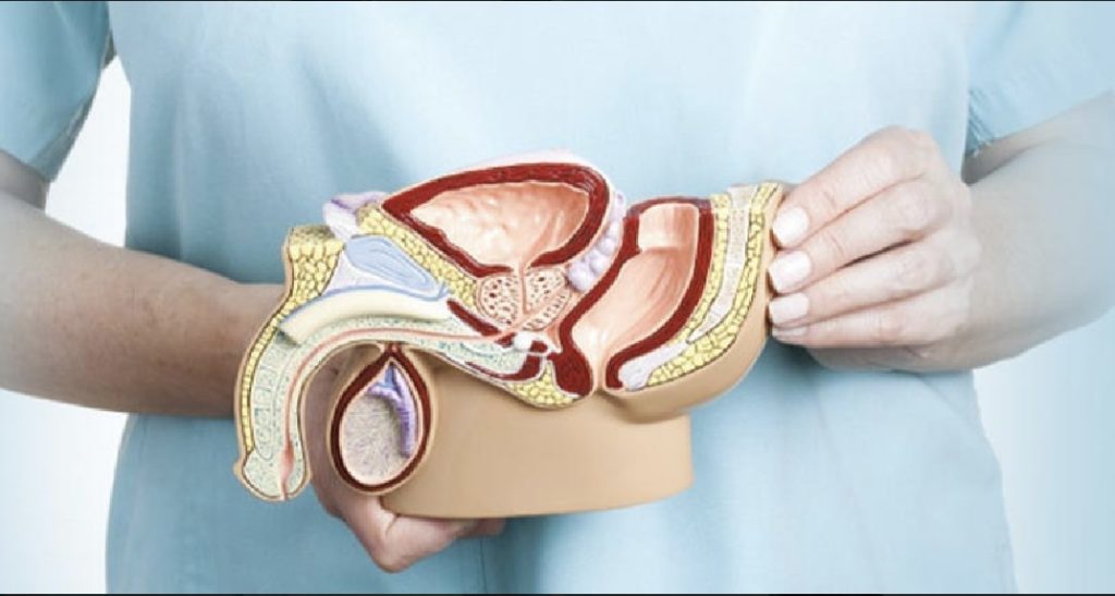 6 signs to identify early diagnosis in prostate cancer