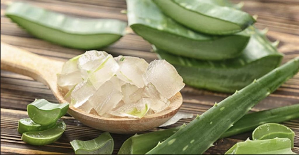 Aloe Vera – 4 benefits of using it this summer
