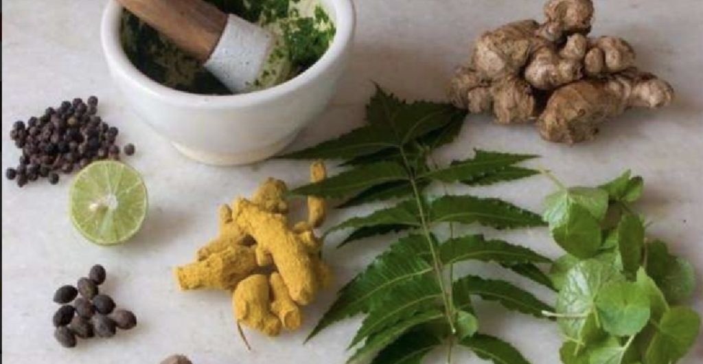 4 Healing Herbs for Hepatitis: Exploring Herbal Remedies and Their Benefits