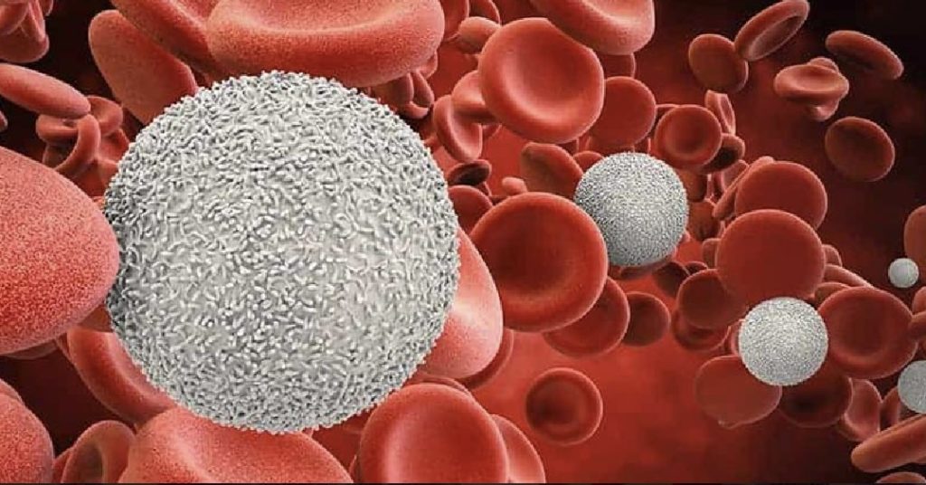 LEUKEMIA AND LYMPHOMA: BLOOD CANCER AND ITS TERMS EXPLAINED