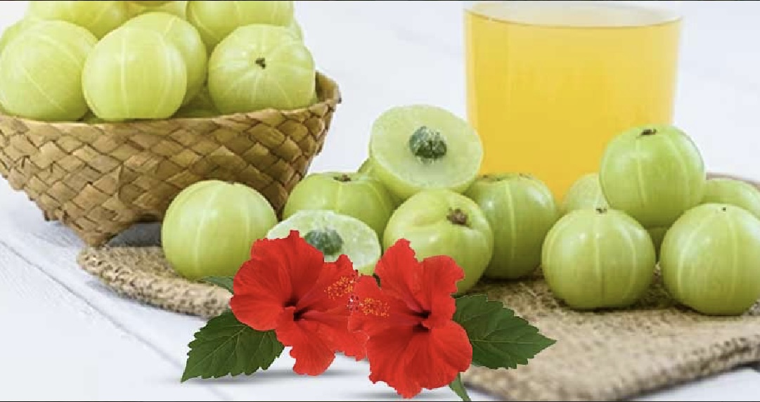 Hibiscus and Amla Drink Nmami Life