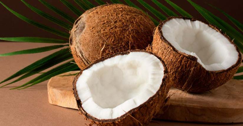 3 Reasons why fat from coconut is the healthiest forms of fat